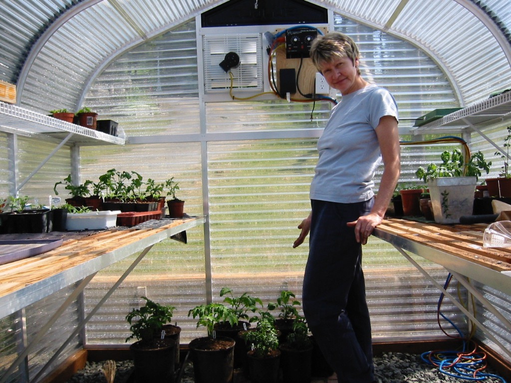 Greenhouse in use