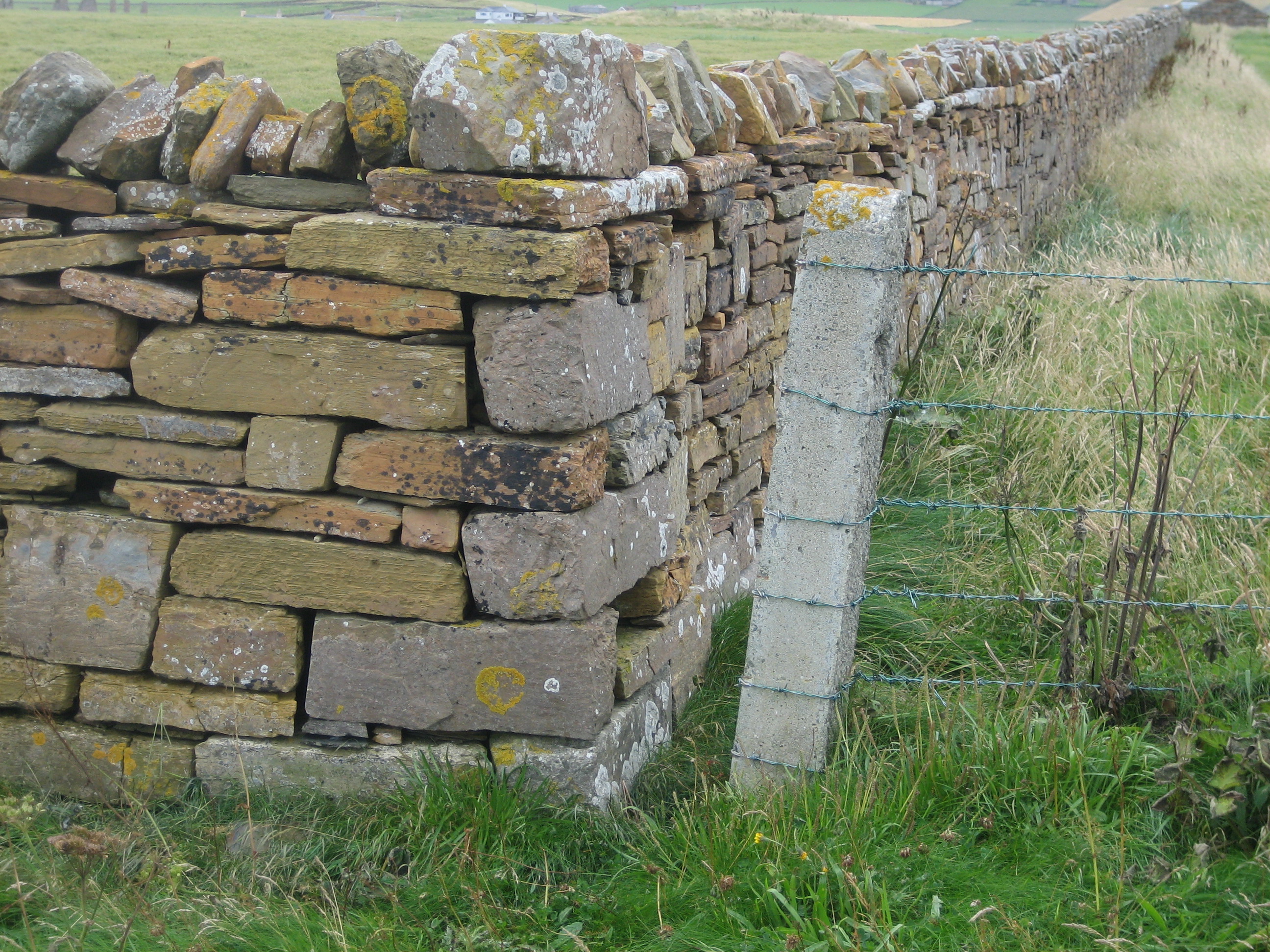 Stromness Flagstone makes good pasture walls