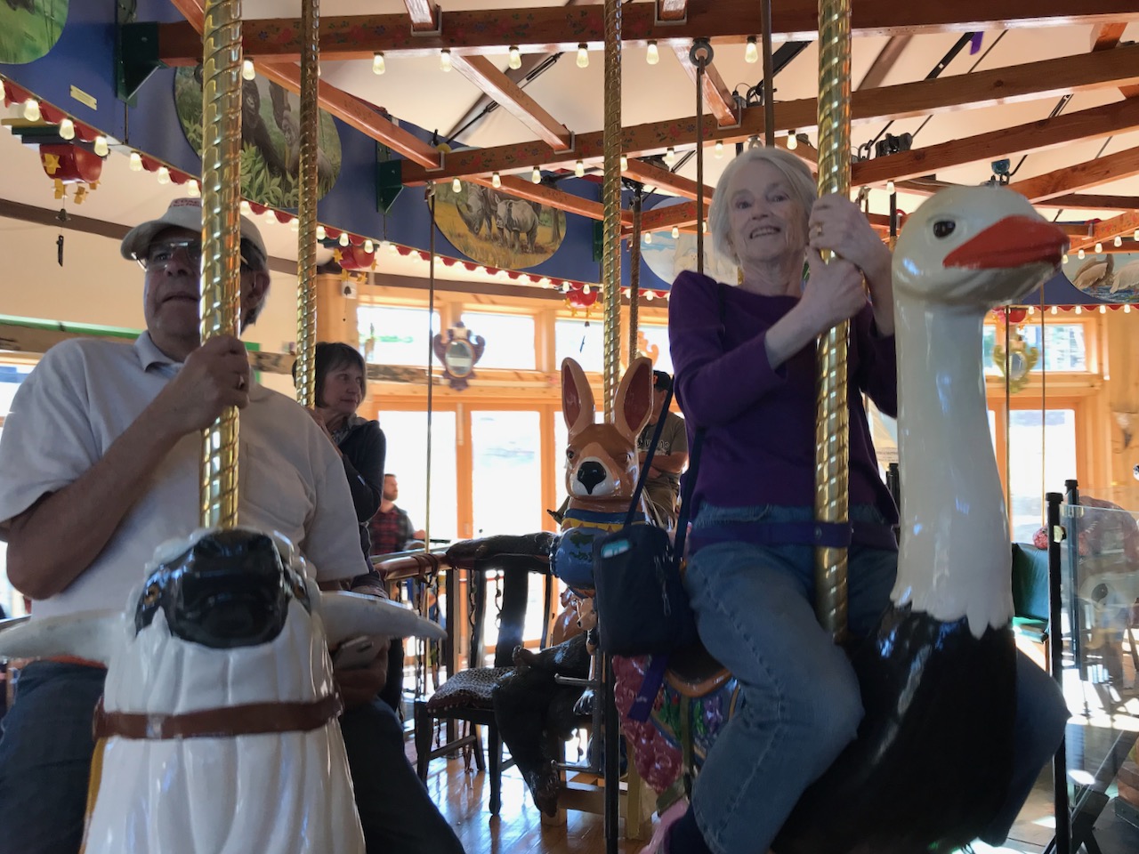 The Carousel of Happiness